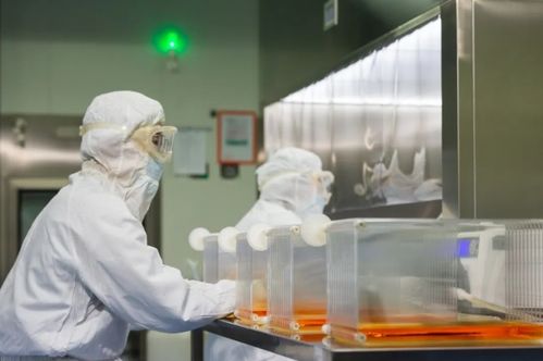 建交60載,中法關(guān)系的重要性不只在經(jīng)濟(jì)合作