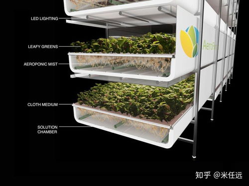 農(nóng)學(xué)專業(yè)在中國有什么未來